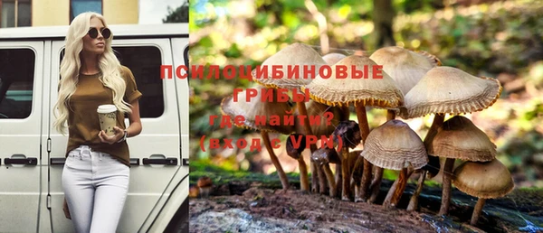 apvp Алексеевка