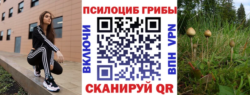 Галлюциногенные грибы ЛСД  Александровское 